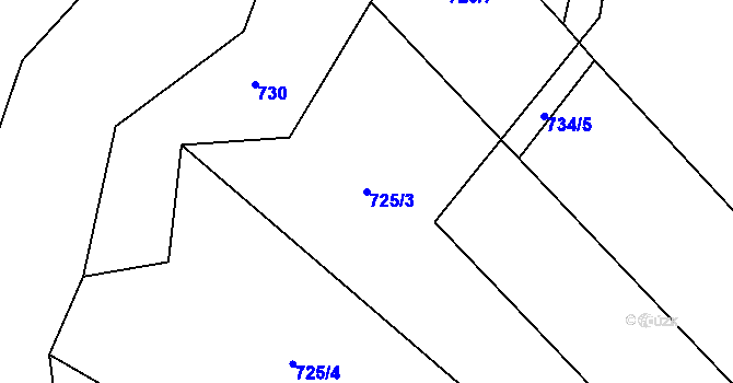 Parcela st. 725/3 v KÚ Rankov u Trhových Svinů, Katastrální mapa