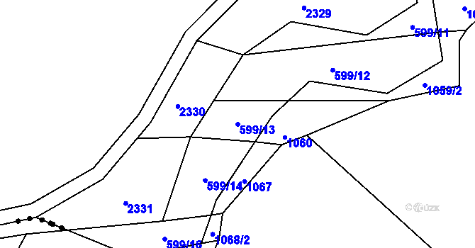 Parcela st. 599/13 v KÚ Rankov u Trhových Svinů, Katastrální mapa