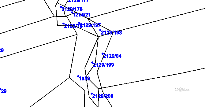 Parcela st. 2129/84 v KÚ Rankov u Trhových Svinů, Katastrální mapa