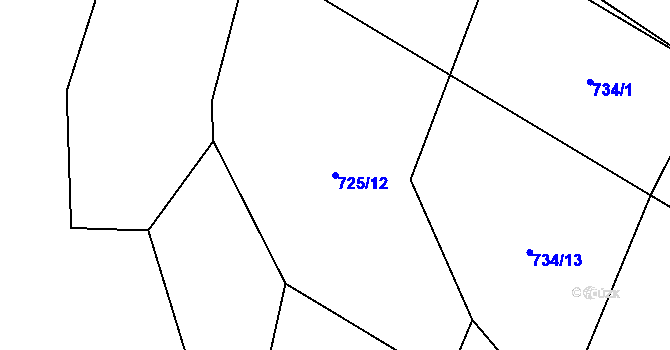 Parcela st. 725/12 v KÚ Rankov u Trhových Svinů, Katastrální mapa