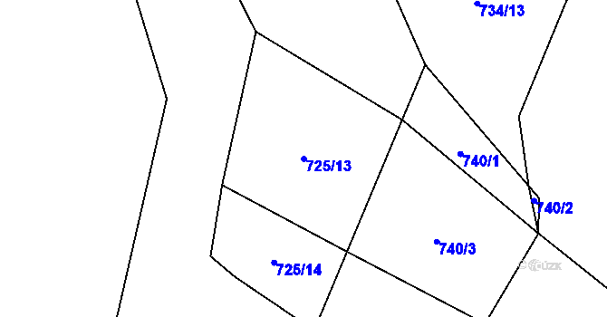 Parcela st. 725/13 v KÚ Rankov u Trhových Svinů, Katastrální mapa
