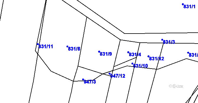 Parcela st. 831/9 v KÚ Rankov u Trhových Svinů, Katastrální mapa