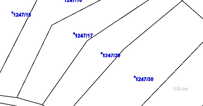 Parcela st. 1247/29 v KÚ Rankov u Trhových Svinů, Katastrální mapa