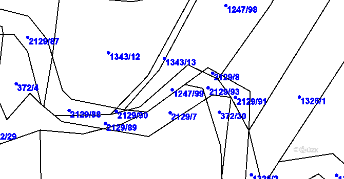 Parcela st. 1247/99 v KÚ Rankov u Trhových Svinů, Katastrální mapa