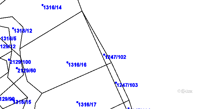 Parcela st. 1247/102 v KÚ Rankov u Trhových Svinů, Katastrální mapa