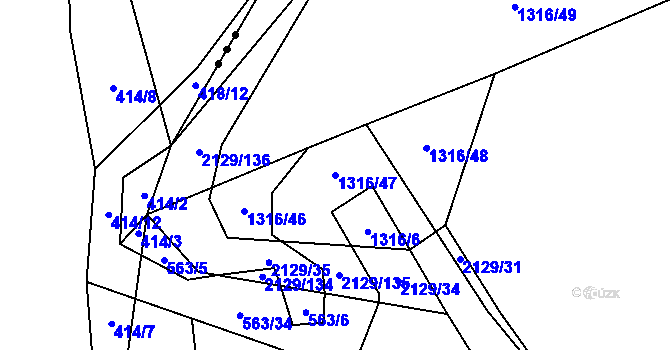 Parcela st. 1316/47 v KÚ Rankov u Trhových Svinů, Katastrální mapa