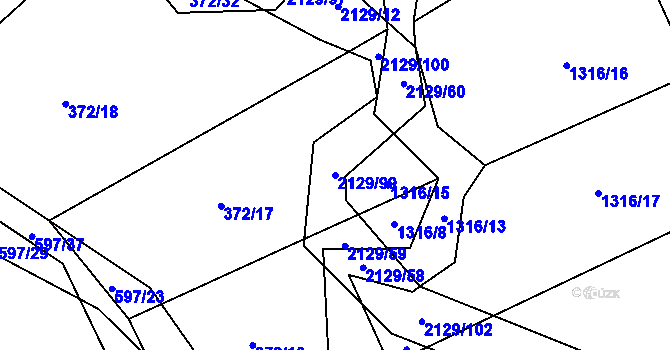 Parcela st. 2129/99 v KÚ Rankov u Trhových Svinů, Katastrální mapa