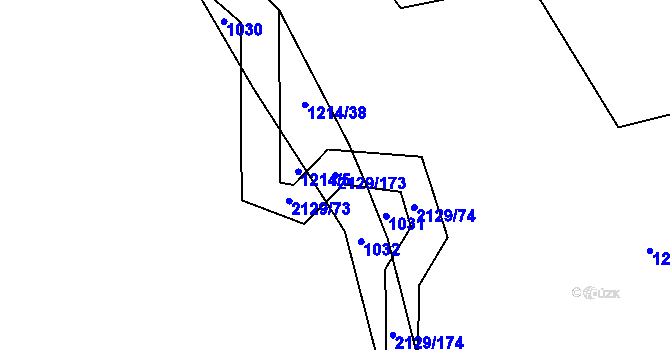 Parcela st. 2129/173 v KÚ Rankov u Trhových Svinů, Katastrální mapa