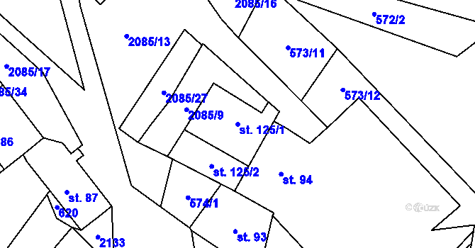 Parcela st. 125/1 v KÚ Rankov u Trhových Svinů, Katastrální mapa