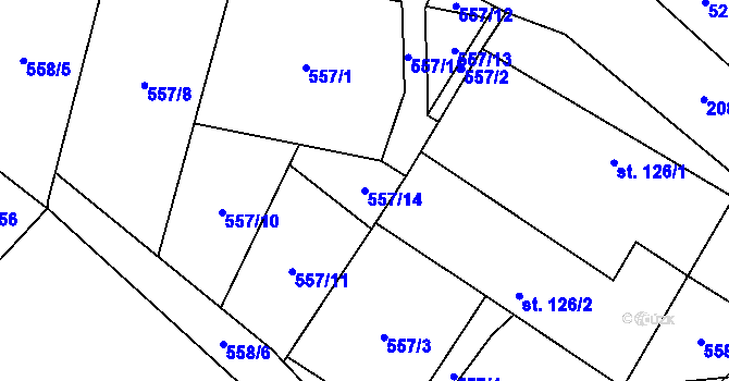 Parcela st. 557/14 v KÚ Rankov u Trhových Svinů, Katastrální mapa