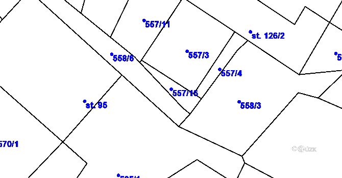 Parcela st. 557/16 v KÚ Rankov u Trhových Svinů, Katastrální mapa