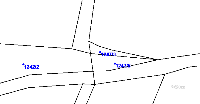Parcela st. 1247/3 v KÚ Rankov u Trhových Svinů, Katastrální mapa