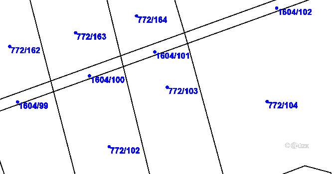 Parcela st. 772/103 v KÚ Věšín, Katastrální mapa