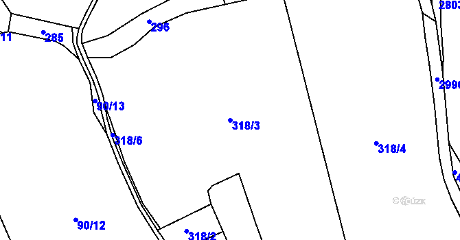 Parcela st. 318/3 v KÚ Hašlovice, Katastrální mapa