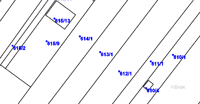 Parcela st. 613/1 v KÚ Veverská Bítýška, Katastrální mapa