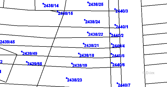 Parcela st. 2438/21 v KÚ Veverská Bítýška, Katastrální mapa