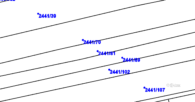 Parcela st. 2441/81 v KÚ Veverská Bítýška, Katastrální mapa