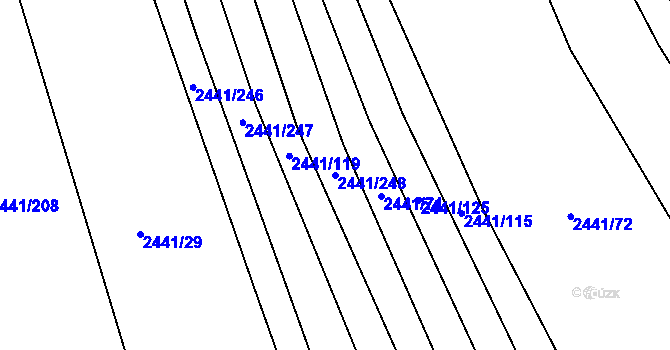 Parcela st. 2441/248 v KÚ Veverská Bítýška, Katastrální mapa