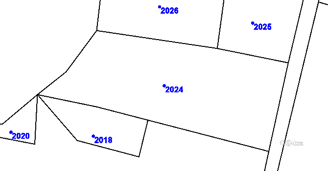 Parcela st. 2024 v KÚ Věžnice, Katastrální mapa