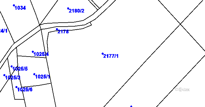 Parcela st. 2177/1 v KÚ Věžnice, Katastrální mapa