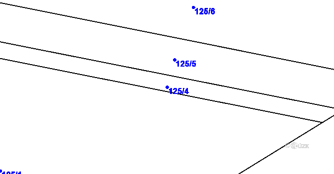 Parcela st. 125/4 v KÚ Víceměřice, Katastrální mapa