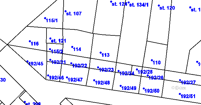 Parcela st. 113 v KÚ Vícov, Katastrální mapa