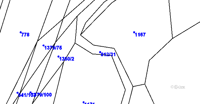 Parcela st. 812/31 v KÚ Oplotec, Katastrální mapa