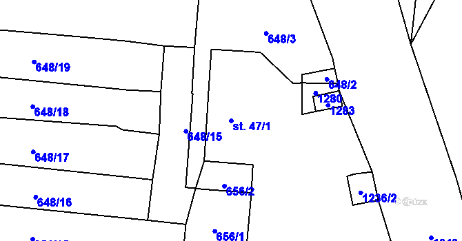 Parcela st. 47/1 v KÚ Vidice, Katastrální mapa