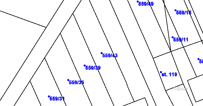 Parcela st. 559/43 v KÚ Vinary u Smidar, Katastrální mapa