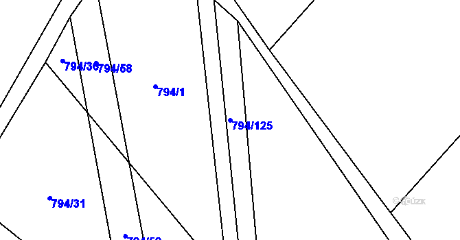 Parcela st. 794/125 v KÚ Vinaře, Katastrální mapa