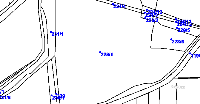 Parcela st. 228/1 v KÚ Vintířov u Radonic, Katastrální mapa