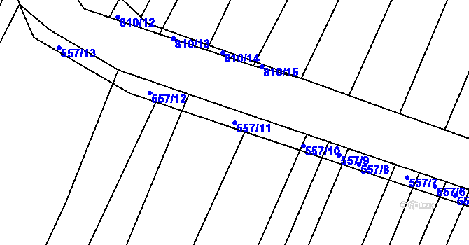 Parcela st. 557/11 v KÚ Višňové, Katastrální mapa