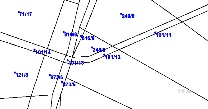 Parcela st. 101/12 v KÚ Brtí, Katastrální mapa