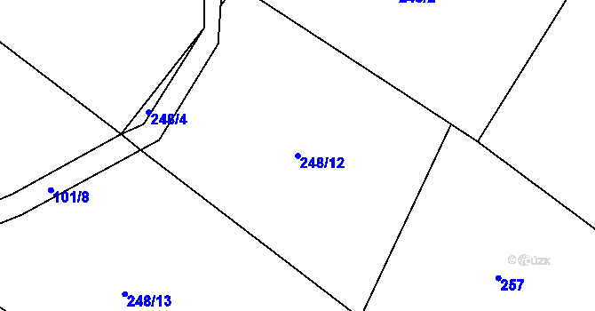 Parcela st. 248/12 v KÚ Brtí, Katastrální mapa