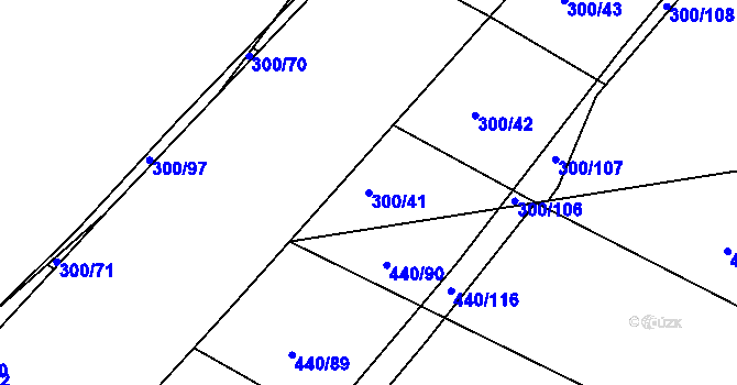 Parcela st. 300/41 v KÚ Vitín, Katastrální mapa