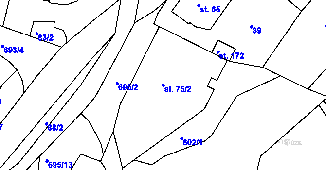Parcela st. 75/2 v KÚ Dolní Vítkov, Katastrální mapa