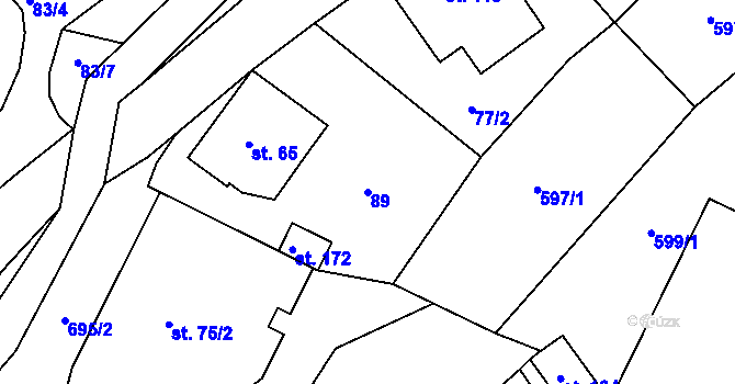 Parcela st. 89 v KÚ Dolní Vítkov, Katastrální mapa