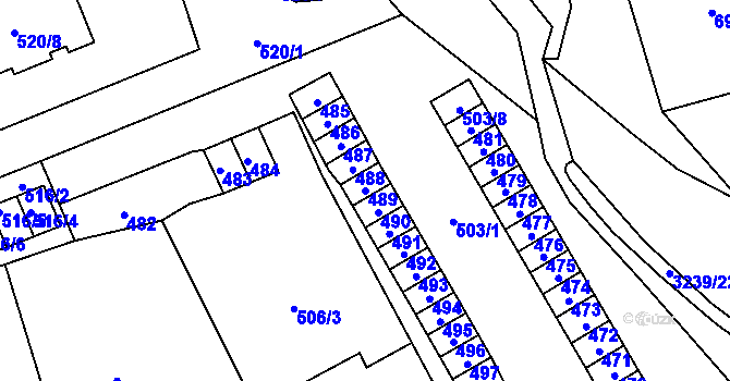 Parcela st. 489 v KÚ Vítkov, Katastrální mapa