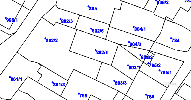 Parcela st. 802/1 v KÚ Vítkov, Katastrální mapa
