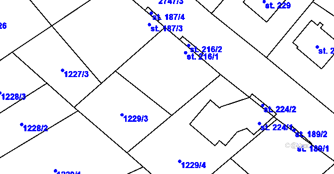 Parcela st. 216/1 v KÚ Vrbětice, Katastrální mapa