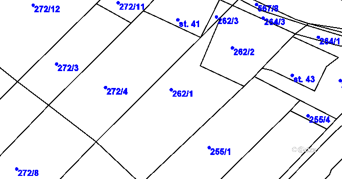 Parcela st. 262/1 v KÚ Svinky, Katastrální mapa