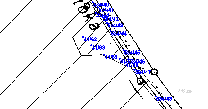 Parcela st. 41/65 v KÚ Svinky, Katastrální mapa