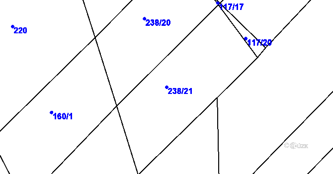 Parcela st. 238/21 v KÚ Svinky, Katastrální mapa