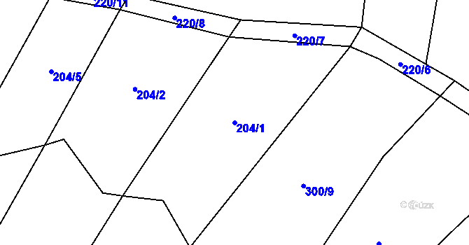 Parcela st. 204/1 v KÚ Vlčnov u Zavlekova, Katastrální mapa