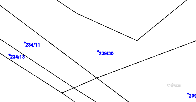 Parcela st. 239/30 v KÚ Vlkava, Katastrální mapa