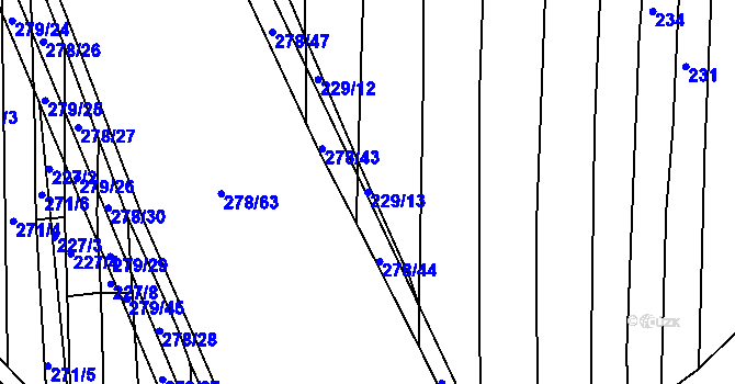 Parcela st. 229/13 v KÚ Vlkov nad Lužnicí, Katastrální mapa
