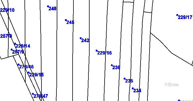 Parcela st. 229/16 v KÚ Vlkov nad Lužnicí, Katastrální mapa