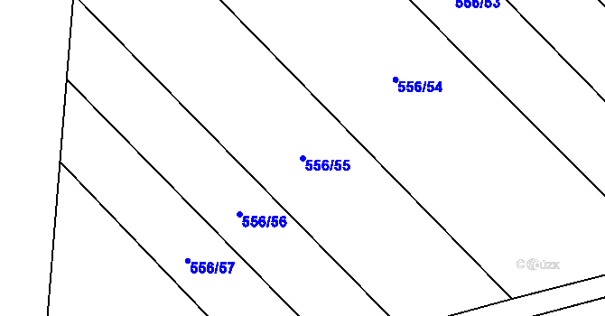 Parcela st. 556/55 v KÚ Vlkov nad Lužnicí, Katastrální mapa