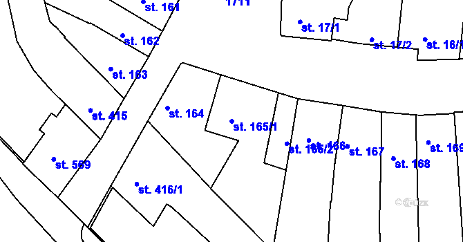 Parcela st. 165/1 v KÚ Vodňany, Katastrální mapa