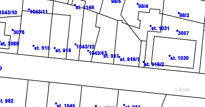 Parcela st. 917 v KÚ Vodňany, Katastrální mapa